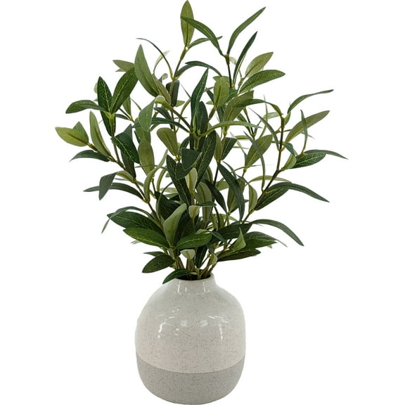 Better Homes & Gardens 14in Indoor Artificial Olive Plant in 2-Tone Ceramic Vase