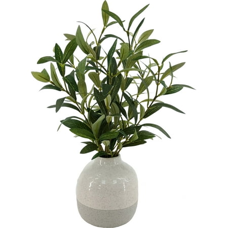 Better Homes & Gardens 14in Indoor Artificial Olive Plant in 2-Tone Color Ceramic Vase. Weight 1 lb