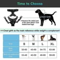 thumbnail image 4 of No-pull Dog Harness Padded Adjustable Pet Vest Harness Clip Harness, 4 of 4