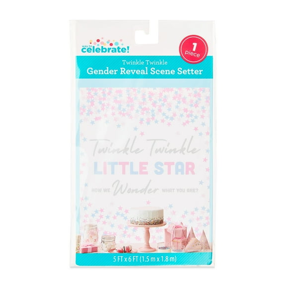 Pink/Blue Twinkle Twinkle Gender Reveal Plastic Scene Setter, 5' x 6', by Way To Celebrate
