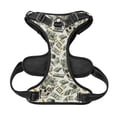 thumbnail image 5 of Gaeub Skull with Cash Gaeub Skull with Cash No Pull Dog Harness, Secure and Adjustable Pet Vest for Outdoor Activities - Small, 5 of 8