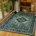 thumbnail image 1 of 5' x 8' / 7' x 10' Luxury Ultra Soft Fluffy Area Rugs, Washable Floor Carpet Rugs for Dining Room,Bedroom,Living Room ,Vintage Large Sizes Indoor Outdoor Entry Area Rugs, 1 of 10