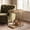 Light Brown & Gold, variant on Tribesigns 2-Tier Narrow End Table, C Shaped Side Table Bedside Table with Metal Frame & Open Shelf for Living Room (1, Brown & Black)