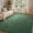 Green, variant on 4x6 Washable Area Rugs for Bedroom Living Room, Low Pile Thin Rug Solid Color, Non-Slip Carpet Indoor for Home Decor (Grey)