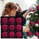 thumbnail image 4 of Colgante De Bolas Navideas Nevadas, Juego De 9 Piezas, De Vidrio, Estilo Tradicional, Para Decorar El Rbol De Navidad, Adorno Navideo, Rojo, Verde Y Azul, Decoracin Para El Hogar Y La, UKHBMC, 4 of 9