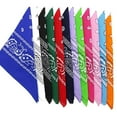 thumbnail image 3 of Double Set Cowboy Head Bandana Bandanas Multi Paisley Sided Scarf Dozen Colored Handkerchief, 3 of 6