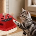 Interactive Puzzle Maze Brain Training Enrichment Cat Dispenser Pet ...