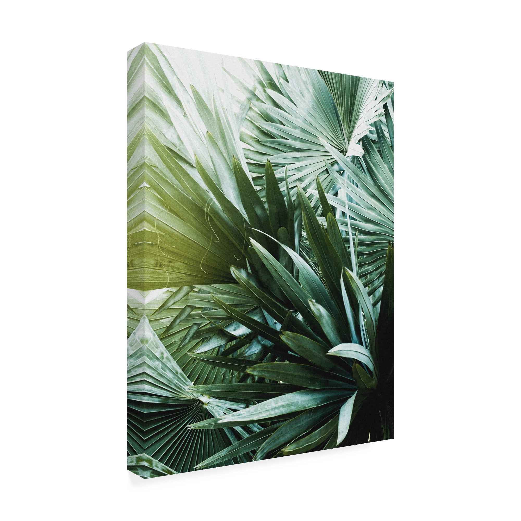 Trademark Fine Art 'Leaf II' Canvas Art by Incado