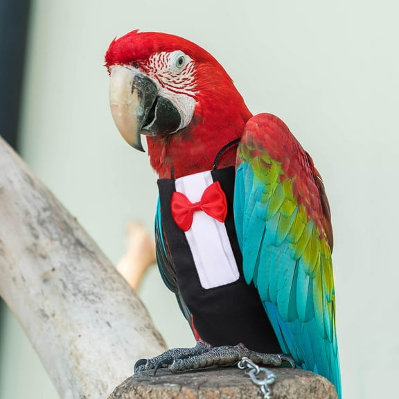 LULULION 2Pcs Parrot Diaper Flight Suit Pet Bird Clothes Bowknot Design Washable Fabric