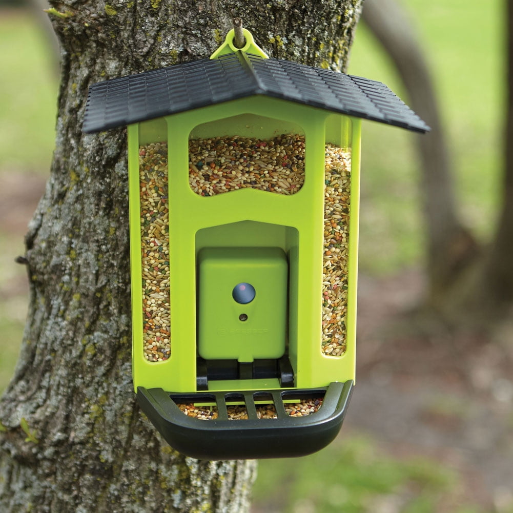 bird feeder with a camera
