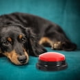 thumbnail image 3 of 2Pcs Funny Pet Buttons Recordable Dog Buttons Interactive Pet Buttons Pet Sound Buttons, 3 of 8