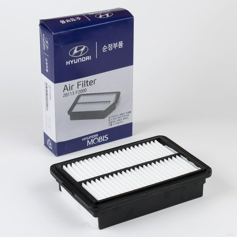 Genuine OEM Hyundai Elantra Air Filter (Engine) 28113-F2000, Fits 2017 ...