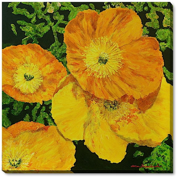 La Pastiche  Allan Friedlander 'Blazing Glory' Framed Fine Art Print