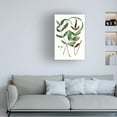 thumbnail image 3 of Vision Studio 'Fern Foliage II' Canvas Art, 3 of 3