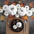 thumbnail image 3 of 12 Piezas de Decoración de Calabaza, Grandes Mini Pequeñas Calabazas Blancas Falsas Decoraciones de Otoño Decoraciones de Otoño Decoraciones Blancas de Halloween, 3 of 5