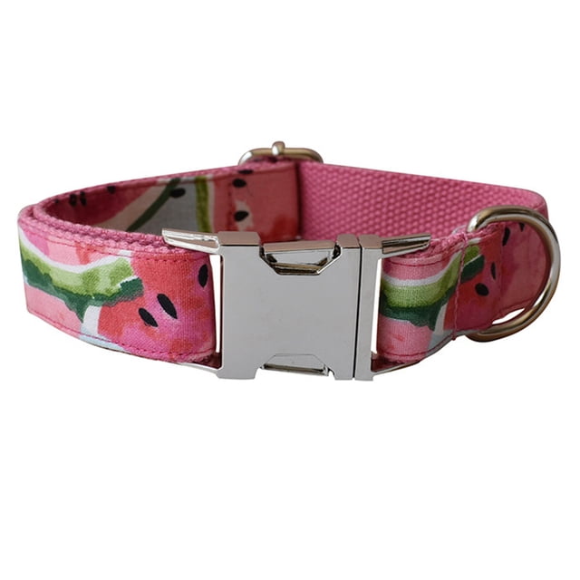 Conjunto de cinturón y bufanda con cuello para perro, color sandía, adecuado para entrenamiento al aire libre para perros y gatos de tamaño mediano