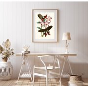 Vintage Floral Print, Botanical Print, Flower Art Print, Antique Botanical Print, Floral Wall Art,Painting Art, Dining Room Wall Decor Ideas, Art Deco Frameless 20x30inch