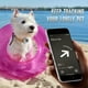 thumbnail image 4 of Soporte de collar de perro impermeable para Apple Airtags, paquete de 2, 4 of 8