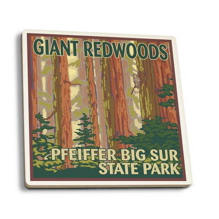 Pfeiffer Big Sur  Park, California - Giant Redwoods - Lantern Press Artwork (Set of 4 Ceramic Coasters - Cork-backed, (Best Place To See Redwoods In Big Sur)