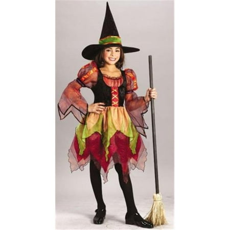 Costumes For All Occasions Fw5863Sm Child Fairy Witch Size Small
