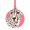 Round Shape, variant on Honeii Pink Cheetah Art Print Christmas Tree Acrylic Ornament | Christmas Decoration, Living Room Bedroom Garden Seasonal Decor for Christmas Tree-Round Shape