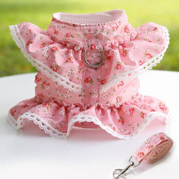 Lace Trim Collar for Girl Small Dog Vest With Walking Harness Leash No Pull Soft Mesh Padded Adjustable Puppy Dress Pet Cosutmes