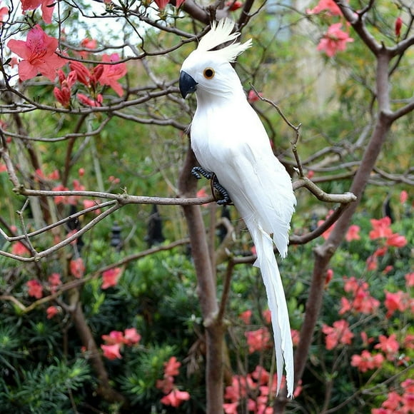 XmhyTop 2 Pcs 9.9 Inch Artificial Birds Realistic Parrot with Lifelike Feathered Parrot Decor Model for Decoration Craft,White white hair B