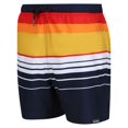 thumbnail image 3 of Regatta Mens Loras Striped Swim Shorts, 3 of 5