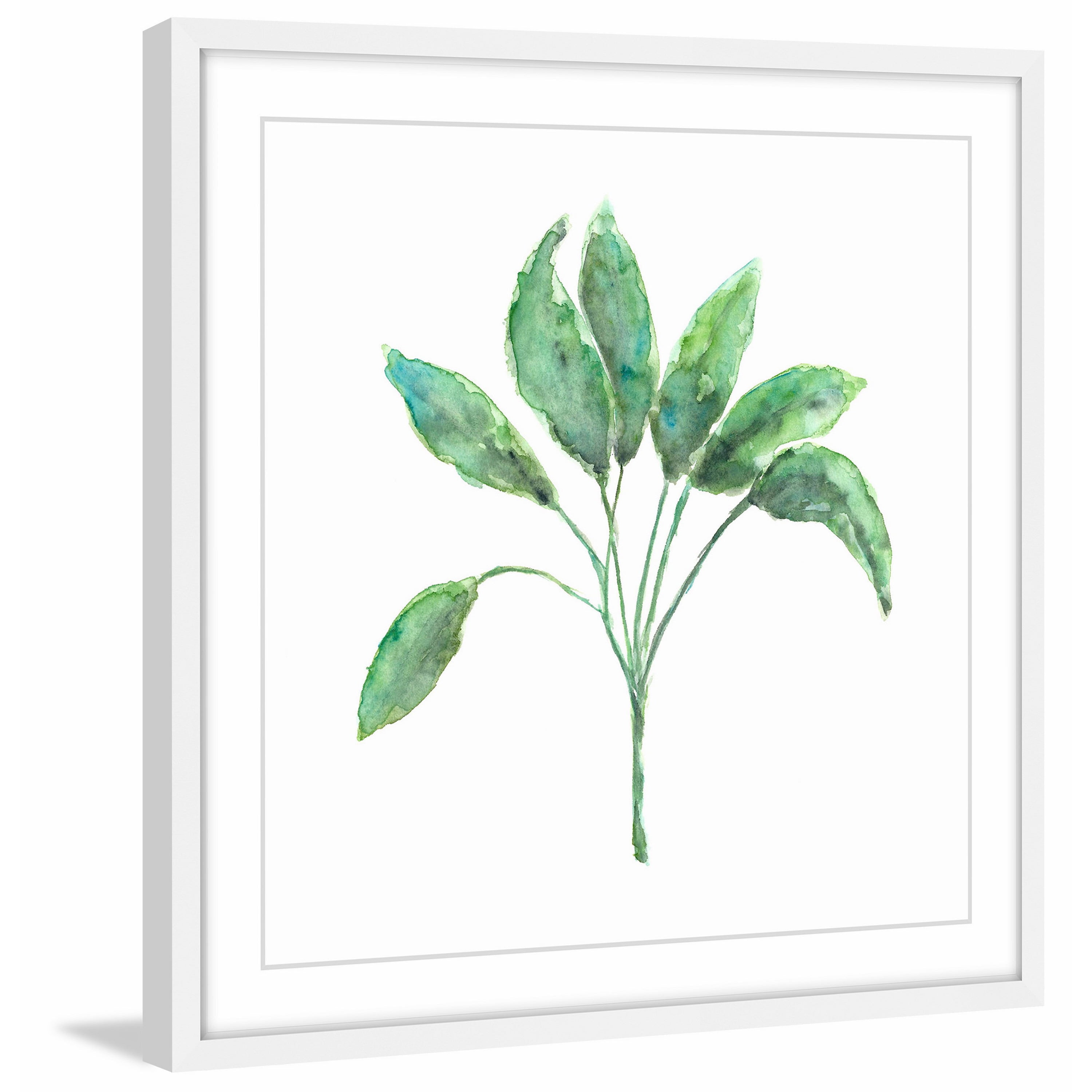 Marmont Hill "Sage Herb" by Thimble Sparrow Framed Painting Print