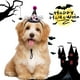 thumbnail image 2 of Sombrero ajustable de Halloween para mascotas, ideal para fiestas navideñas. Fotos., 2 of 3