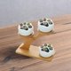 thumbnail image 5 of Succulent Plant Pot Cat Claw Shaped Herbs Pot Decor Planter Tabletop kusrkot Contenedor suculento, 5 of 8