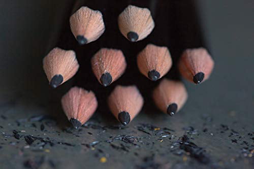 13926 Pack of 2 Black Wood-Cased Pencils 24-Pack Graphite #2 HB Soft 