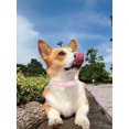 thumbnail image 3 of 1pc Rhinestone Decor Pet Collar, 3 of 4