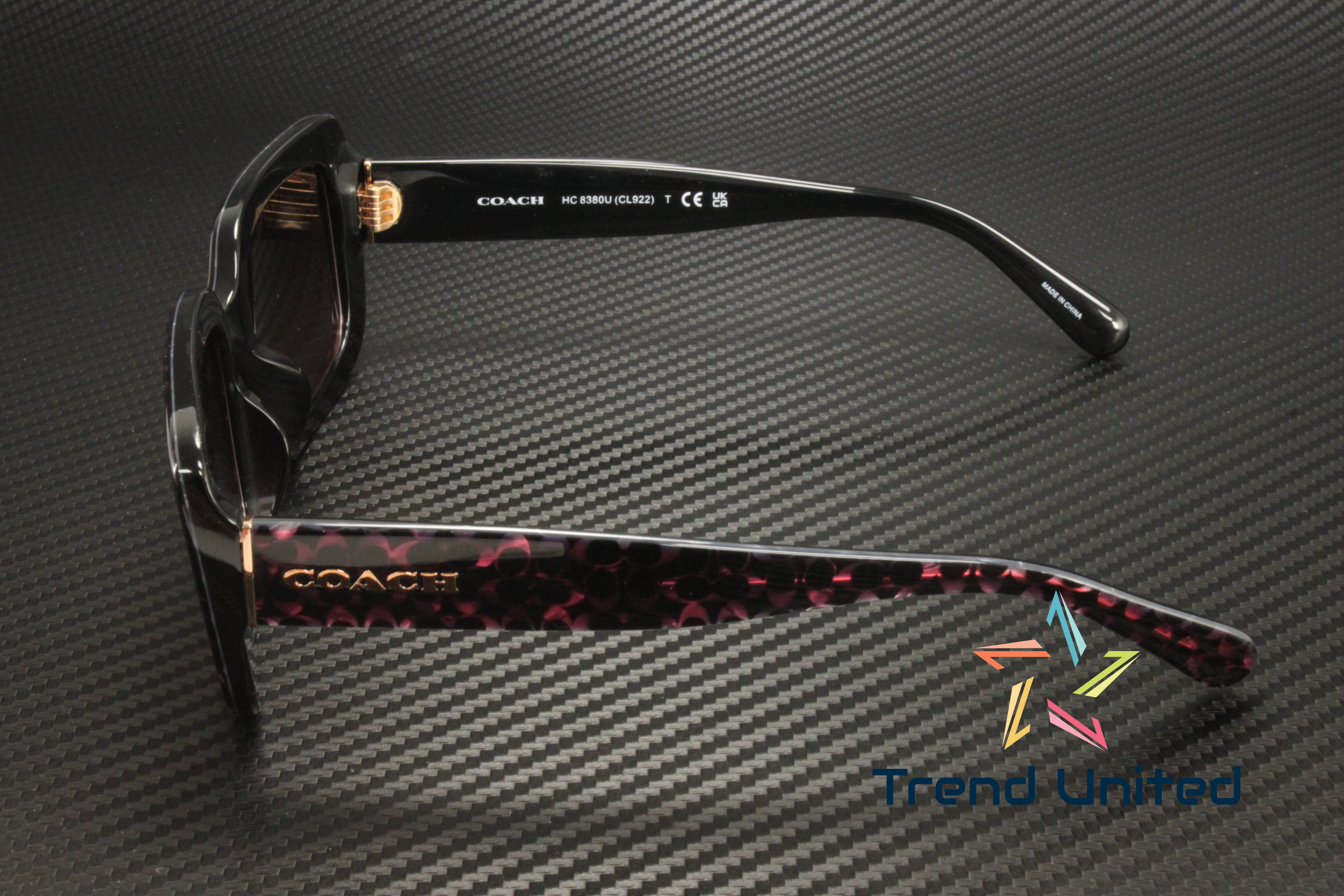 COACH  Sunglasses Ruby Pearl Signature C (HC8380U) COACH Women main image 2