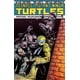 thumbnail image 1 of TEENAGE MUTANT NINJA TURTLES TOMO 9 Editorial Kamite 7500588016798, 1 of 2