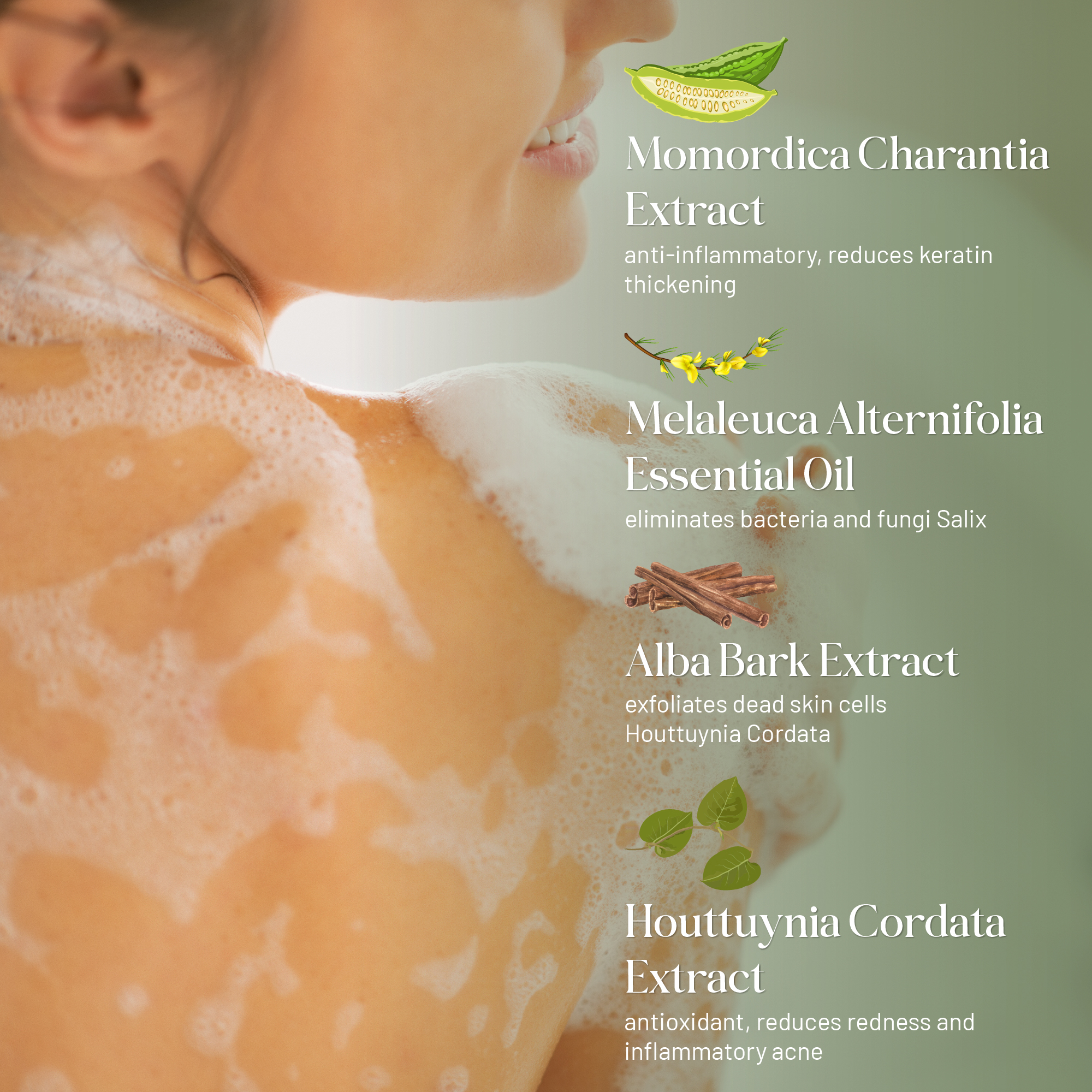Abera BHA Body Wash – Deep Cleansing Shower Gel for Back Acne, Folliculitis & Oily Skin – Tea Tree & Wild Bitter Melon – 10.14 fl oz