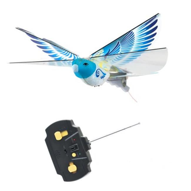 mukikim ebird