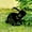 A, variant on Sktrjpolfis Easter Bunny Acrylic Stake Yard Art Stake Gardren Courtyard Porch Easter Decoration