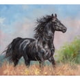 thumbnail image 2 of Great Art Now Black Horse by David Stribbling, Canvas Wall Art, 22.5W x 20H, 2 of 2