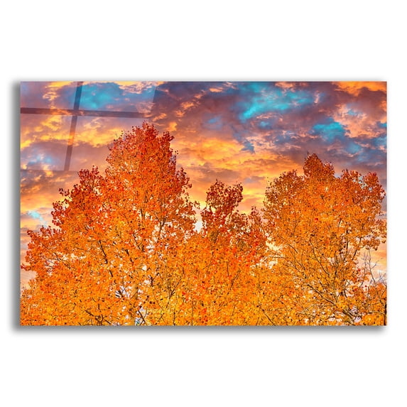 Epic Art 'Wyoming Autumn' by Mark A Paulda, Acrylic Glass Wall Art, 16"x12"