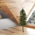 thumbnail image 3 of Vickerman 3' Mixed Country Alpine Artificial Christmas Tree Unlit, 3 of 3