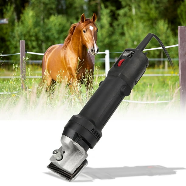 Cisailles électriques Pour Chèvres Tondeuses à Chevaux Tondeuses  électriques Tondeuses à Cheveux De Cheval Tondeuse à Cisaillement Tondeuses  électriques Portables Pour 