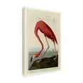 thumbnail image 3 of Trademark Fine Art John James Audubon Starry Night Canvas Wall Art - 30x47, 3 of 5