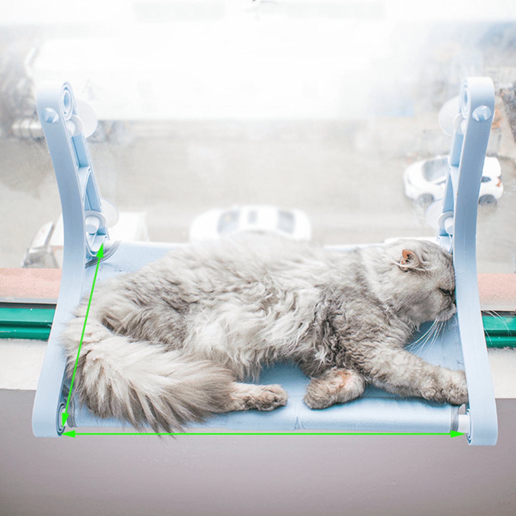 Cat Window Perch, Cozy Hammock with Strong Suction Cups, Holds up to 50 lbs, Blue