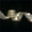 A649, variant on Bows Ribbons on Clearance(2m)Christmas Decoration LED Ribbon Lights Christmas Tree Ornaments DIY Lace Bow String Lights Decoration