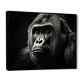 thumbnail image 2 of Designart "Majestic Gorilla Monochrome Wildlife I" Animals Floater Framed Wall Decor, 2 of 7