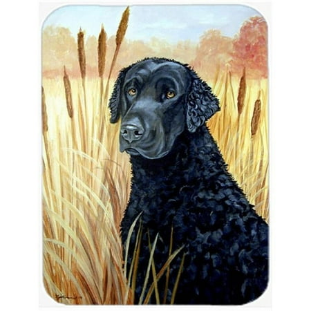 

Curly Coated Retriever Glass Cutting Board - Large- 15 x 12 in.