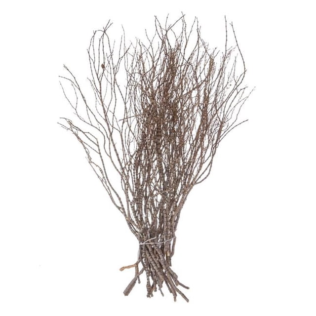 Vickerman H4TIW000 Tiges Tigerwood 36 Po. Ensemble