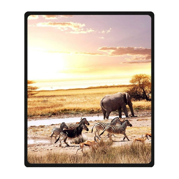 Zebra blanket walmart sale