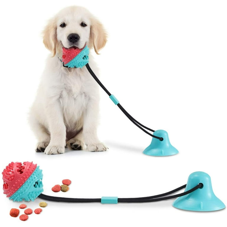 Rubber Football Dog Chew Toy with Tug Rope -- Great for Active Dogs -- –  Yuri Pet Shop